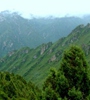 青海省對(duì)天然林保護(hù)工程進(jìn)行績效評(píng)價(jià)，對(duì)2018年度森林管護(hù)工作進(jìn)行了巡回監(jiān)理，實(shí)現(xiàn)績效評(píng)價(jià)和監(jiān)理工作的全覆蓋。
