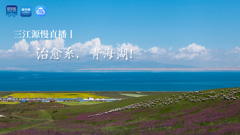 三江源慢直播丨治愈系，青海湖！